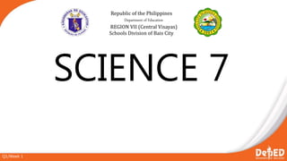 SCIENCE 7
Republic of the Philippines
Department of Education
REGION VII (Central Visayas)
Schools Division of Bais City
Q1/Week 1
 