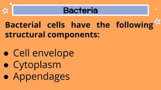 Bacteria
Bacterial cells have the following
structural components:
● Cell envelope
● Cytoplasm
● Appendages
 