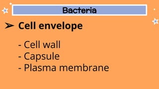 Bacteria
➢ Cell envelope
- Cell wall
- Capsule
- Plasma membrane
 