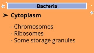 Bacteria
➢ Cytoplasm
- Chromosomes
- Ribosomes
- Some storage granules
 