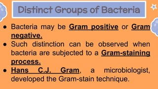 Distinct Groups of Bacteria
● Bacteria may be Gram positive or Gram
negative.
● Such distinction can be observed when
bacteria are subjected to a Gram-staining
process.
● Hans C.J. Gram, a microbiologist,
developed the Gram-stain technique.
 