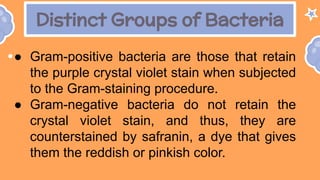 Distinct Groups of Bacteria
● Gram-positive bacteria are those that retain
the purple crystal violet stain when subjected
to the Gram-staining procedure.
● Gram-negative bacteria do not retain the
crystal violet stain, and thus, they are
counterstained by safranin, a dye that gives
them the reddish or pinkish color.
 