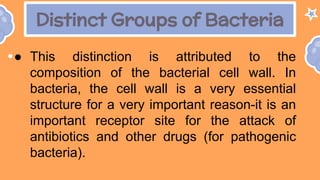 Distinct Groups of Bacteria
● This distinction is attributed to the
composition of the bacterial cell wall. In
bacteria, the cell wall is a very essential
structure for a very important reason-it is an
important receptor site for the attack of
antibiotics and other drugs (for pathogenic
bacteria).
 
