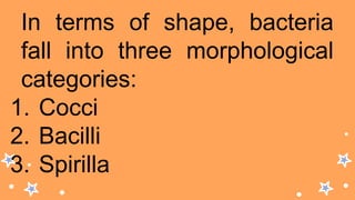 In terms of shape, bacteria
fall into three morphological
categories:
1. Cocci
2. Bacilli
3. Spirilla
 