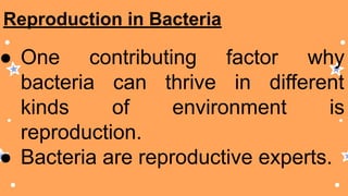 Reproduction in Bacteria
● One contributing factor why
bacteria can thrive in different
kinds of environment is
reproduction.
● Bacteria are reproductive experts.
 