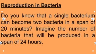 Reproduction in Bacteria
Do you know that a single bacterium
can become two bacteria in a span of
20 minutes? Imagine the number of
bacteria that will be produced in a
span of 24 hours.
 