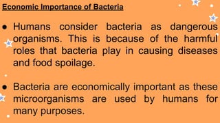 Economic Importance of Bacteria
● Humans consider bacteria as dangerous
organisms. This is because of the harmful
roles that bacteria play in causing diseases
and food spoilage.
● Bacteria are economically important as these
microorganisms are used by humans for
many purposes.
 