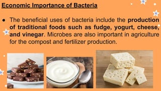 Economic Importance of Bacteria
● The beneficial uses of bacteria include the production
of traditional foods such as fudge, yogurt, cheese,
and vinegar. Microbes are also important in agriculture
for the compost and fertilizer production.
 