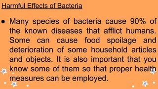 Harmful Effects of Bacteria
● Many species of bacteria cause 90% of
the known diseases that afflict humans.
Some can cause food spoilage and
deterioration of some household articles
and objects. It is also important that you
know some of them so that proper health
measures can be employed.
 