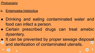 Protozoans
a. Entamoeba histolytica
● Drinking and eating contaminated water and
food can infect a person.
● Certain prescribed drugs can treat amebic
dysentery.
● It can be prevented by proper sewage disposal
and sterilization of contaminated utensils.
 