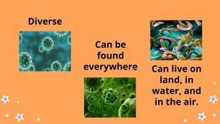 Diverse
Can be
found
everywhere Can live on
land, in
water, and
in the air.
 