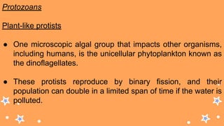 Protozoans
Plant-like protists
● One microscopic algal group that impacts other organisms,
including humans, is the unicellular phytoplankton known as
the dinoflagellates.
● These protists reproduce by binary fission, and their
population can double in a limited span of time if the water is
polluted.
 