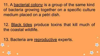 11. A bacterial colony is a group of the same kind
of bacteria growing together on a specific culture
medium placed on a petri dish.
12. Black tides produce toxins that kill much of
the coastal wildlife.
13. Bacteria are reproductive experts.
 