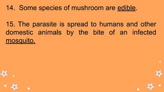 14. Some species of mushroom are edible.
15. The parasite is spread to humans and other
domestic animals by the bite of an infected
mosquito.
 