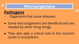 Microorganisms
Pathogens
- Organisms that cause diseases.
● Some microorganisms are beneﬁcial and are
needed by other living things.
● They also play a critical role in the nutrient
cycles in ecosystems.
 