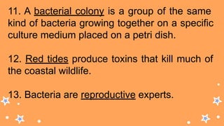 11. A bacterial colony is a group of the same
kind of bacteria growing together on a specific
culture medium placed on a petri dish.
12. Red tides produce toxins that kill much of
the coastal wildlife.
13. Bacteria are reproductive experts.
 