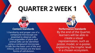 QUARTER 2 WEEK 1
1.Familiarity and proper use of a
compound microscope are
essential to observe cells.
2.The organelles of plant and
animal cells can be identified
using a compound microscope.
3.Cells are the basic unit of life and
mitosis, and meiosis are the basic
forms of cell division.
Content Standards Performance Standards
By the end of the Quarter,
learners will be able to
create a visual
representation, such as
poster, model, or e-poster,
explaining the trophic level
in a chosen ecosystem.
 