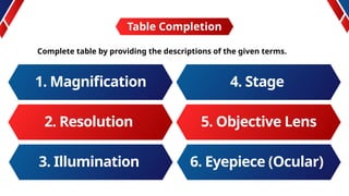 Table Completion
Complete table by providing the descriptions of the given terms.
Lorem ipsum dolor sit amet, consectetur adipiscing elit. Duis vel libero sagittis,
maximus libero in, scelerisque tellus. Nullam eget ante maximus, placerat nulla.
1. Magnification
2. Resolution
3. Illumination
4. Stage
5. Objective Lens
6. Eyepiece (Ocular)
 