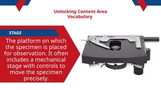 Unlocking Content Area
Vocabulary
STAGE
The platform on which
the specimen is placed
for observation. It often
includes a mechanical
stage with controls to
move the specimen
precisely.
 