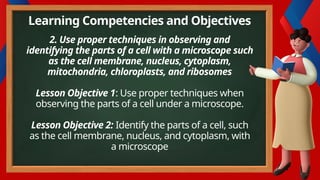 Learning Competencies and Objectives
2. Use proper techniques in observing and
identifying the parts of a cell with a microscope such
as the cell membrane, nucleus, cytoplasm,
mitochondria, chloroplasts, and ribosomes
Lesson Objective 1: Use proper techniques when
observing the parts of a cell under a microscope.
Lesson Objective 2: Identify the parts of a cell, such
as the cell membrane, nucleus, and cytoplasm, with
a microscope
 