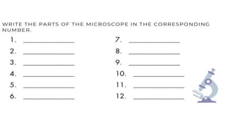 Science 7 - Quarter 2   Full Week 1.pptx