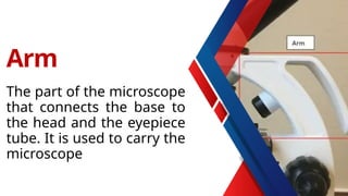 The part of the microscope
that connects the base to
the head and the eyepiece
tube. It is used to carry the
microscope
Arm
 