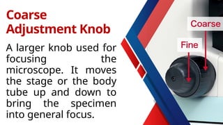 A larger knob used for
focusing the
microscope. It moves
the stage or the body
tube up and down to
bring the specimen
into general focus.
Coarse
Adjustment Knob
 