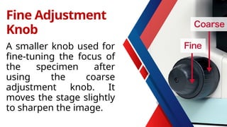 A smaller knob used for
fine-tuning the focus of
the specimen after
using the coarse
adjustment knob. It
moves the stage slightly
to sharpen the image.
Fine Adjustment
Knob
 
