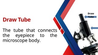 The tube that connects
the eyepiece to the
microscope body.
Draw Tube
Draw
Tube
 
