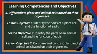 3. Differentiate plant and animal cells based on their
organelles
Lesson Objective 1: Identify the parts of a plant cell
and the function of each.
Lesson Objective 2: Identify the parts of an animal
cell and the function of each.
Lesson Objective 3: Compare and contrast plant and
animal cells based on their organelles.
Learning Competencies and Objectives
 