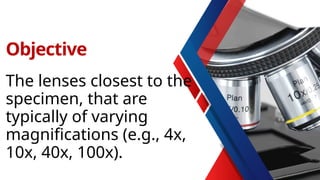 The lenses closest to the
specimen, that are
typically of varying
magnifications (e.g., 4x,
10x, 40x, 100x).
Objective
 