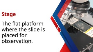 The flat platform
where the slide is
placed for
observation.
Stage
 