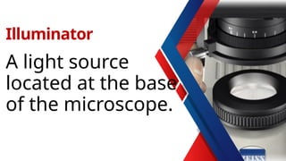 A light source
located at the base
of the microscope.
Illuminator
 