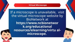 If a microscope is unavailable, visit
the virtual microscope website by
BioNetwork at
https://www.ncbionetwor
k.org/educational
resources/elearning/virtu al-
microscope.
Virtual Microscope
 