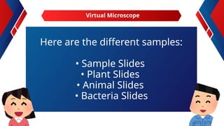 Here are the different samples:
• Sample ݺߣs
• Plant ݺߣs
• Animal ݺߣs
• Bacteria ݺߣs
Virtual Microscope
 