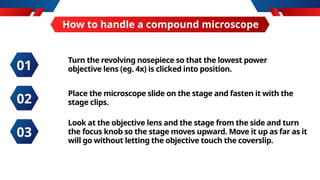 How to handle a compound microscope
Turn the revolving nosepiece so that the lowest power
objective lens (eg. 4x) is clicked into position.
Place the microscope slide on the stage and fasten it with the
stage clips.
Look at the objective lens and the stage from the side and turn
the focus knob so the stage moves upward. Move it up as far as it
will go without letting the objective touch the coverslip.
01
02
03
 