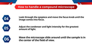 How to handle a compound microscope
Look through the eyepiece and move the focus knob until the
image comes into focus.
Adjust the condenser and light intensity for the greatest
amount of light.
04
05
Move the microscope slide around until the sample is in
the center of the field of view.
06
 