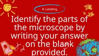 Identify the parts of
the microscope by
writing your answer
on the blank
provided.
B. Labelling.
 