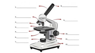 Science 7 - Quarter 2   Full Week 1.pptx