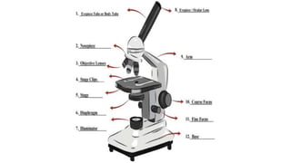 Science 7 - Quarter 2   Full Week 1.pptx