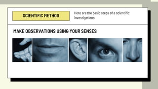 SCIENTIFIC METHOD
Here are the basic steps of a scientific
investigations
MAKE OBSERVATIONS USING YOUR SENSES
 