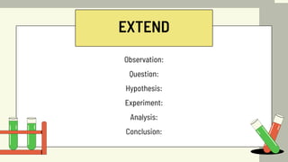 EXTEND
Observation:
Question:
Hypothesis:
Experiment:
Analysis:
Conclusion:
 