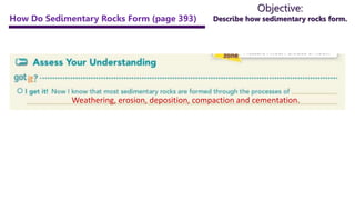 Objective:
Describe how sedimentary rocks form.
How Do Sedimentary Rocks Form (page 393)
Weathering, erosion, deposition, compaction and cementation.
 