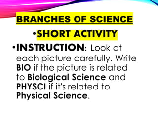 Science Import SCIENCE 7 INTRODUCTION IN SCIENCE AND IMPORTNACE.ppt