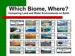 Which Biome, Where?
Comparing Land and Water Environments on Earth
 