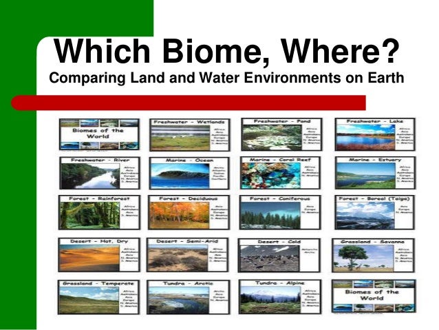 science 7 notes gb