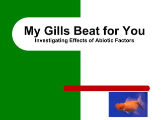 My Gills Beat for You
Investigating Effects of Abiotic Factors
 