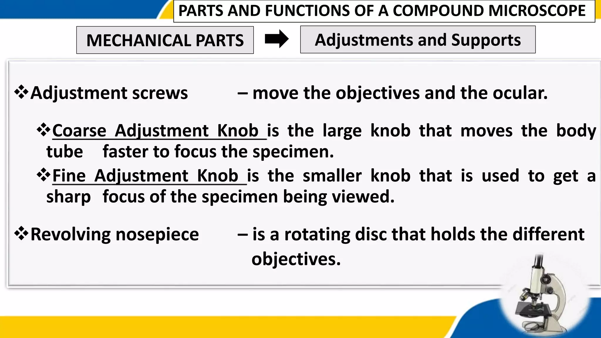 Adjustment screws – move the objectives and the ocular.
Coarse Adjustment Knob is the large knob that moves the body
tube faster to focus the specimen.
Fine Adjustment Knob is the smaller knob that is used to get a
sharp focus of the specimen being viewed.
Revolving nosepiece – is a rotating disc that holds the different
objectives.
MECHANICAL PARTS Adjustments and Supports
PARTS AND FUNCTIONS OF A COMPOUND MICROSCOPE
 