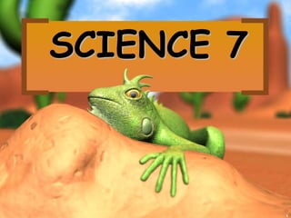 1
SCIENCE 7
 