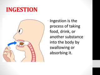 INGESTION
• Ingestion is the
process of taking
food, drink, or
another substance
into the body by
swallowing or
absorbing it.
 